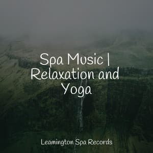 Spa Music | Relaxation and Yoga - Kundalini Yoga