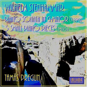 Stenhammar: Piano Sonata in G Minor & 3 Small Piano Pieces - W. Stenhammar