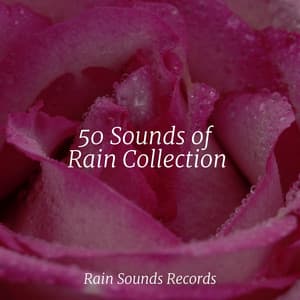 50 Sounds of Rain Collection - Rising Higher Meditation