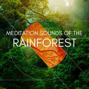 Meditation Sounds of the Rainforest - Natural Sounds