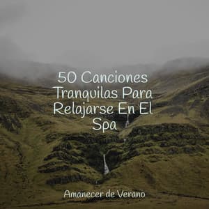 50 Canciones Tranquilas Para Relajarse En El Spa - Música para Correr
