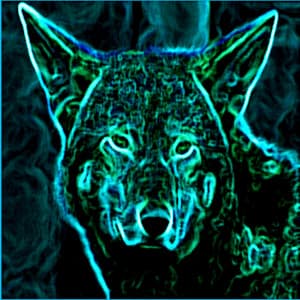 Trance and Emersion - Spectral Sevenths