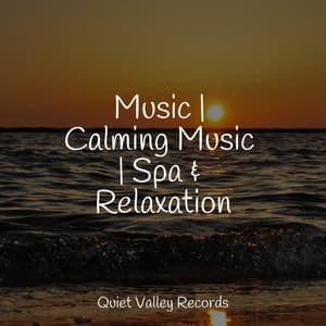 Music | Calming Music | Spa & Relaxation - Restless Baby Music
