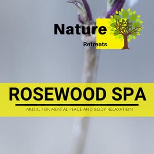 Rosewood Spa - Music for Mental Peace and Body Relaxation - Meditation Atmospheres
