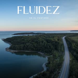 Fluidez En El Pantano - Sonidos de Cascadas