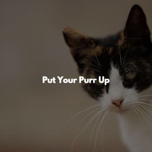 Put Your Purr Up - Deluxe Coffee Shop Music