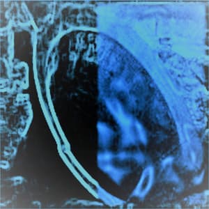 Desolation of the Bells - Oscillating Ocelots