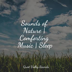Sounds of Nature | Comforting Music | Sleep - Sounds of Nature for Deep Sleep and Relaxation