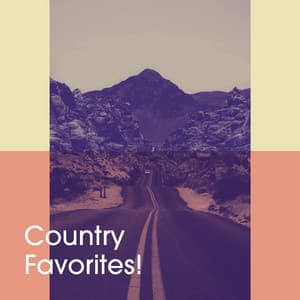 Country Favorites! - The Country Music Heroes