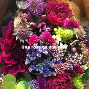 Una rosa es una rosa - Detroit Jazz Group