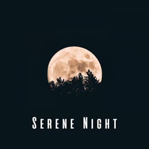 Serene Night: Lulling Ambient Music for Sleep - Dream Shard