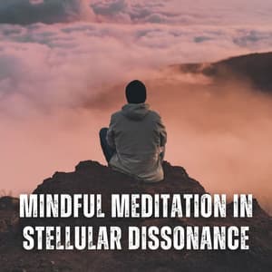 Mindful Meditation in Stellular Dissonance - Perfect Meditation