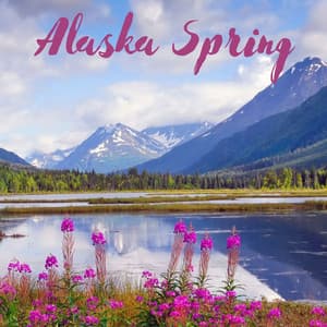 Alaska Spring - Beach Top Sounders