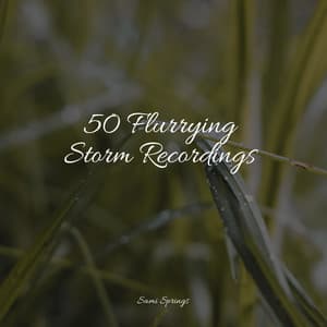 50 Flurrying Storm Recordings - Natureza Musica Bem-Estar Academia