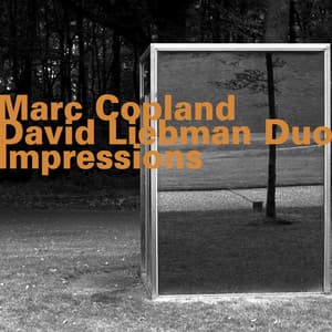 Marc Copland - David Liebman Duo: Impressions - Marc Copland