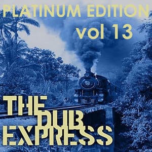 The Dub Express Vol 13 Platinum Edition - The Aggrovators