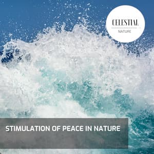 Stimulation of Peace in Nature - Nature Radiance