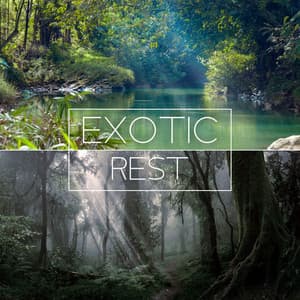 Exotic Rest: Morning & Evening Tropical Soundscapes for Total Relaxation - Serenity Nature Sounds Academy