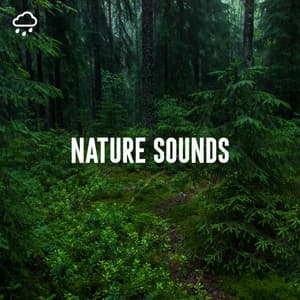 Nature Sounds - Nature Sounds Lab