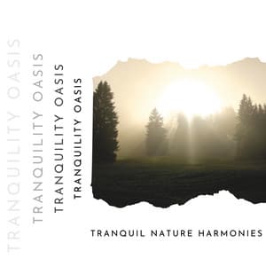 Tranquil Nature Harmonies: Relax and De-Stress - Tranquility Oasis