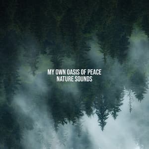 My Own Oasis of Peace – Nature Sounds & Inner Harmony, Relaxing New Age Music - Nature Sounds Paradise