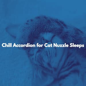 Chill Accordion for Cat Nuzzle Sleeps - Música Suave para Cafe