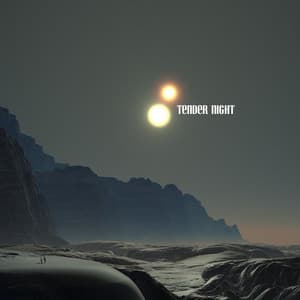 Tender Night - Sleep Recording Sounds