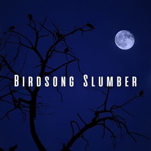 Birdsong Slumber: Chill Music with Nature Sounds for Babies - Birds & Bees etc.