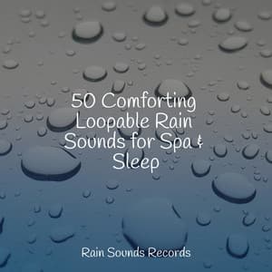 50 Comforting Loopable Rain Sounds for Spa & Sleep - Nature Sounds