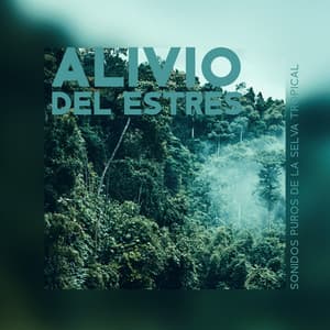 Alivio del Estrés: Sonidos Puros de la Selva Tropical - La Academia de Música para la Meditación de Sanación
