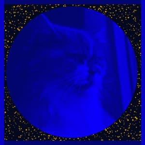 Ambiance for Cat Memories - Cat Music Waves