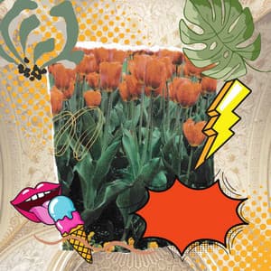 Jazz Organ - Background Music for Calming Down With Spring - Musique pour Travailler Playlist