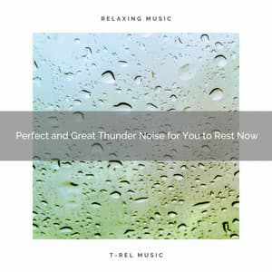 2020 Best: Perfect and Great Thunder Noise for You to Rest Now - Relax Rain