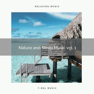 2021 Nature and Sleep Music vol. 1 - World Recorders