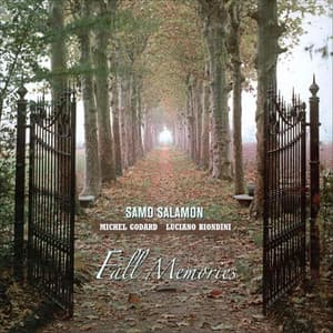 Fall Memories - Samo Salamon