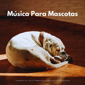 Sinfonía De Colas Armoniosas: Música Para Mascotas - Delmar Herrero