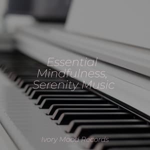 Essential Mindfulness, Serenity Music - Ivory Mood