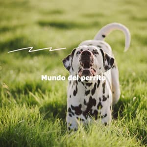 Mundo del perrito - Dinner Background Music