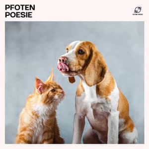 Pfotenpoesie - Entspannung für Hunde