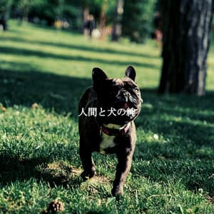 人間と犬の絆 - Jazz Alegre para Cafés