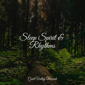 Sleep Spirit & Rhythms - Pink Noise