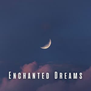 Enchanted Dreams: Music for Rejuvenating Sleep - Reiki for Animals