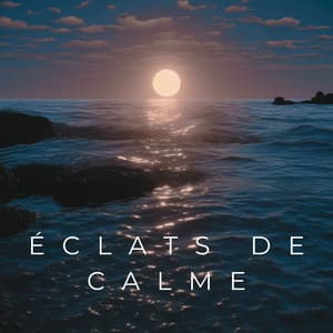 Éclats de Calme: Rêves de Lune - Zone de la Musique Relaxante