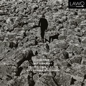 In finstrer Mitternacht: Brahms, Op. 5 & Op. 79 - Johannes Brahms