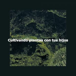 Cultivando plantas con tus hijos - Chill Music for Reading