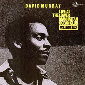 Live at the Lower Manhattan Ocean Club - David Murray