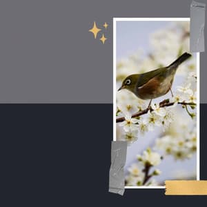 Self Care Days - Office Music Playlist