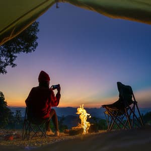 Tranquil Music: Soothing Sounds for Evening - Daytime Music Bliss