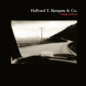 Free Fields - Hallvard T. Bjørgum