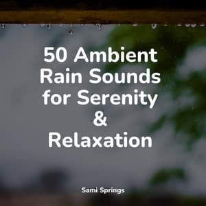 50 Ambient Rain Sounds for Serenity & Relaxation - Relaxing Sounds Of Nature